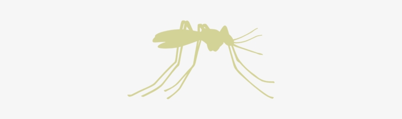 Mosquito Control - Mosquito Free Vector, transparent png