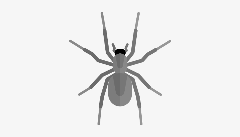 Diy Pest Control - Pest, transparent png
