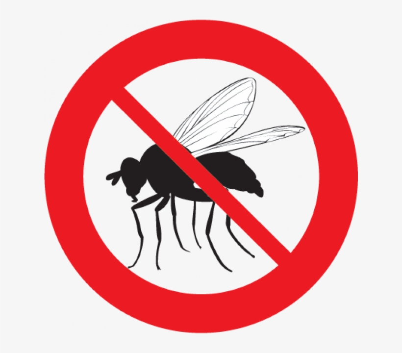 Fly And Mosquito Control - Don T Swim In The Lake, transparent png