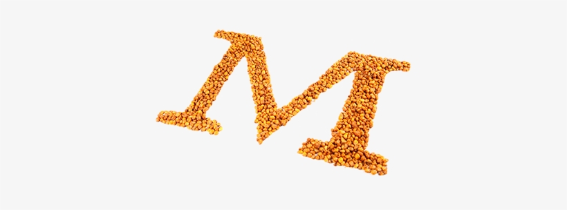 Im1 - Maize, transparent png