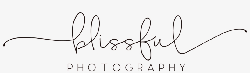 Photography, transparent png