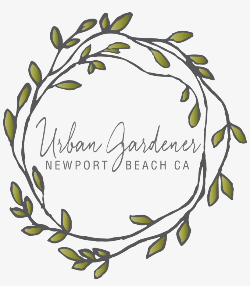 Newport Beach, Ca Florist - Urban Gardener, transparent png