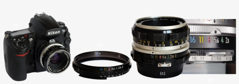 Esta Sustitución Hace Posible Utilizar Objetivos Antiguos - Canon Ef 75-300mm F/4-5.6 Iii, transparent png