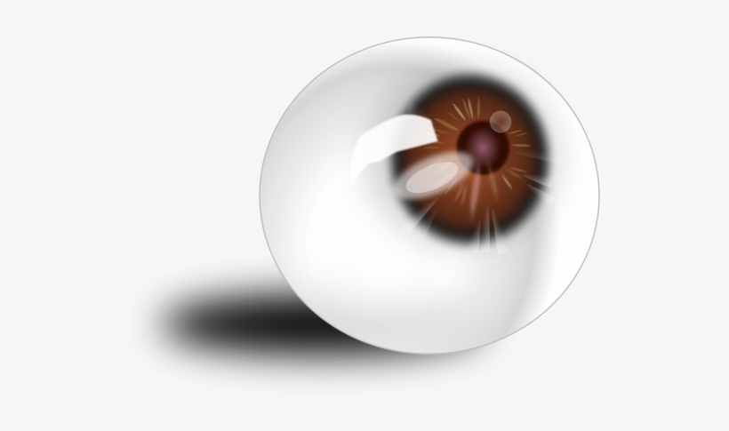 Eyeball Brown Png Images - Eye, transparent png