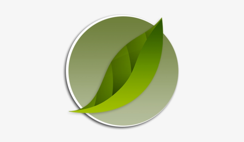 Mangrove, Qaram, Showra - Qatar, transparent png