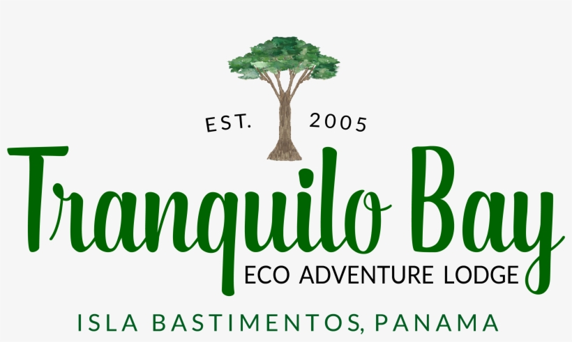 Site Logo - Tree, transparent png