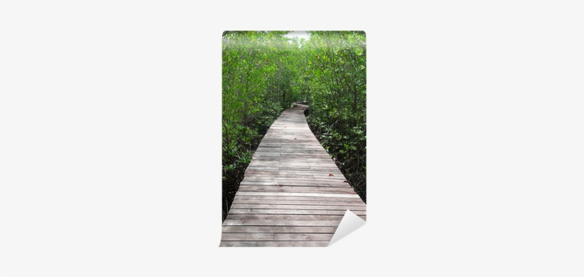 Boardwalk, transparent png