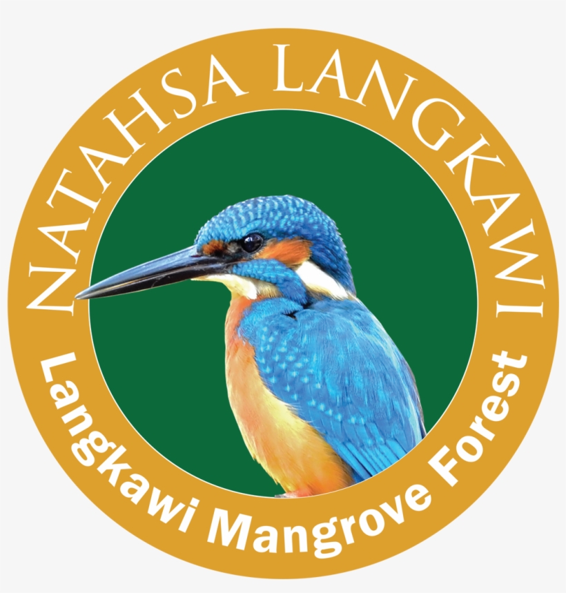 Natasha Langkawi - Kilim Geoforest Park, transparent png