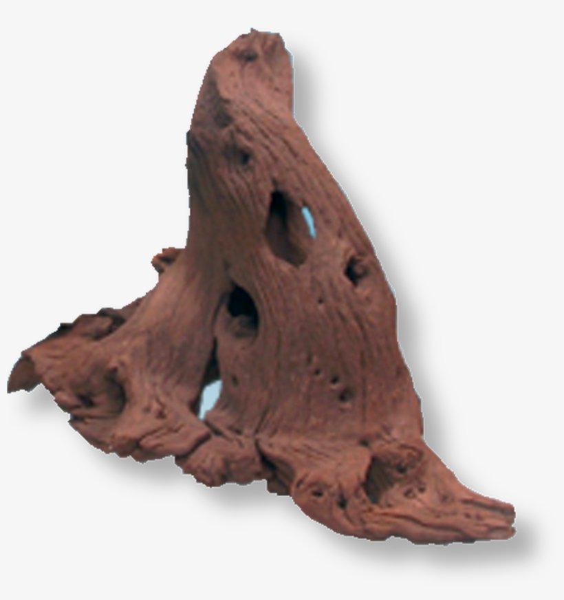 <img H137/56511 " Alt=""> - Jbl Mangrove Roots, transparent png