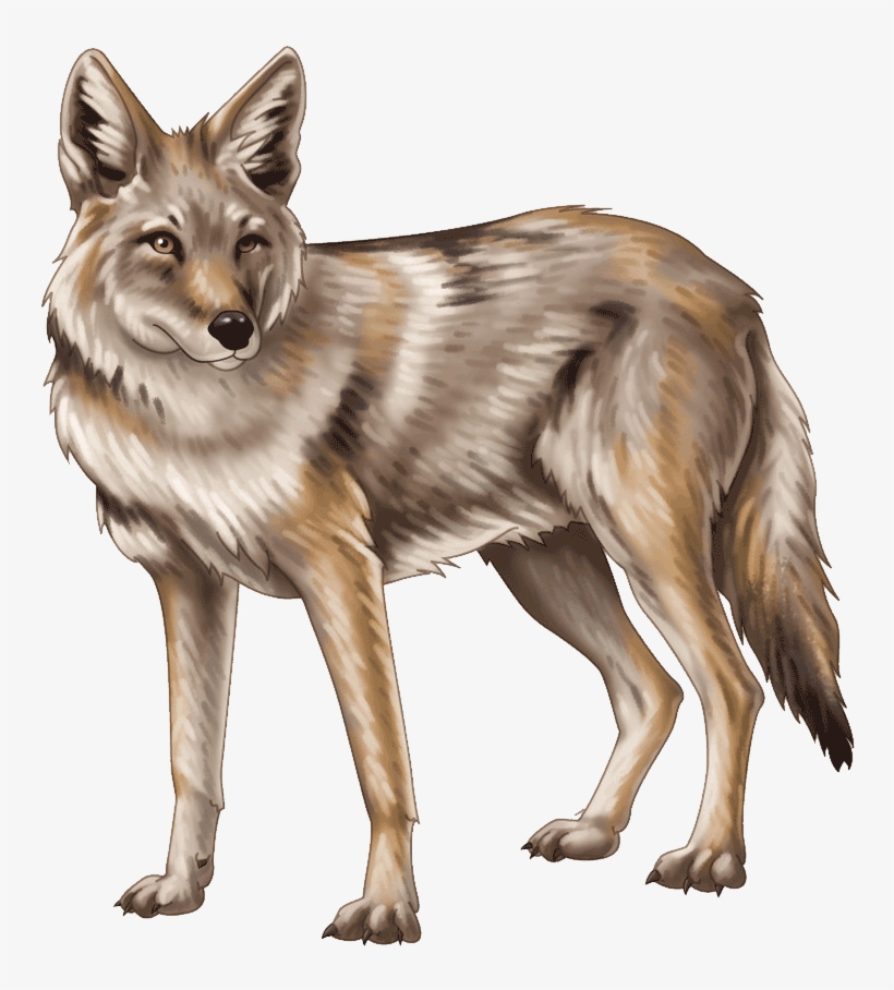 Portable Network Graphics, transparent png
