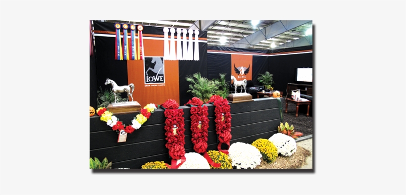 Custom Stall Drapes And Accessories - Stall Drapes, transparent png