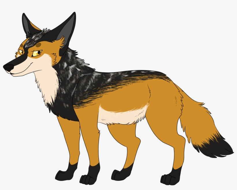 Alpha Jackal - Mackenzie River Husky, transparent png