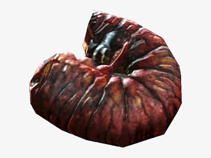 Fried Fog Crawler - Macro Photography, transparent png