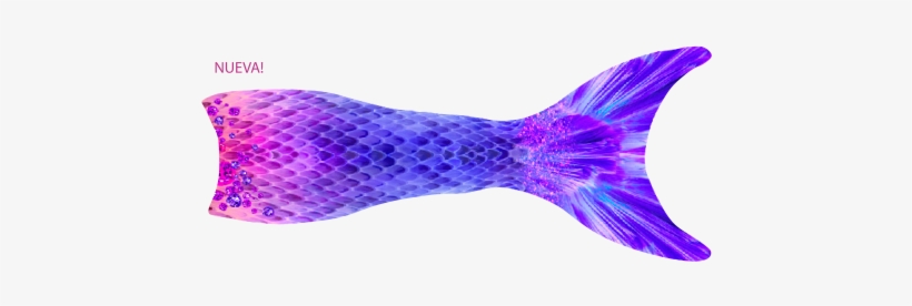 Next - Fish, transparent png
