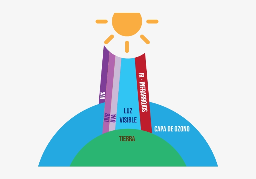 La Potencia De Los Rayos Uv Que Llega Al Suelo Depende - Tipos De Radiación Uv, transparent png
