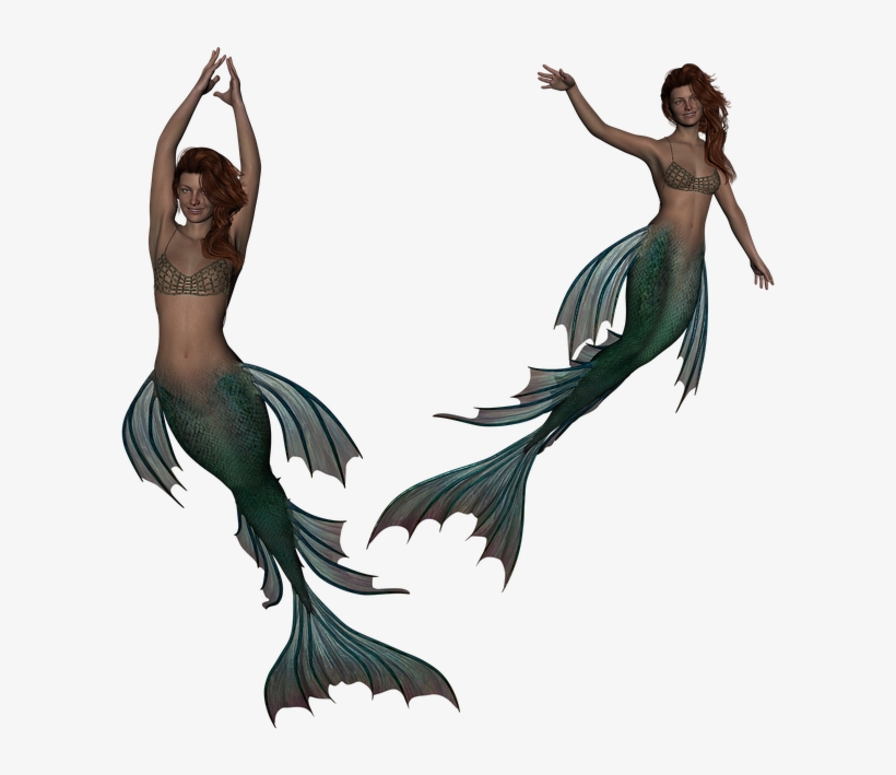 Mermaid, Siren, Fantasy, Fairytale, 3d, Tail, Fish - Siren Mermaid Png, transparent png