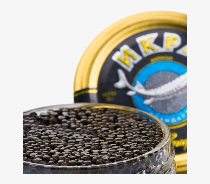 Standard Oscietra - Ossetra, transparent png