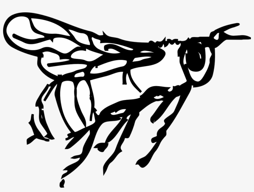 Bee Flying Stripes Wings Insect - รูป แมลง ลาย เส้น, transparent png