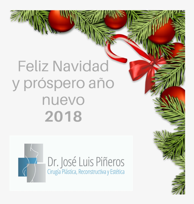 Feliz Navidad Y Próspero Año Nuevo - We Are Close On Christmas Day, transparent png