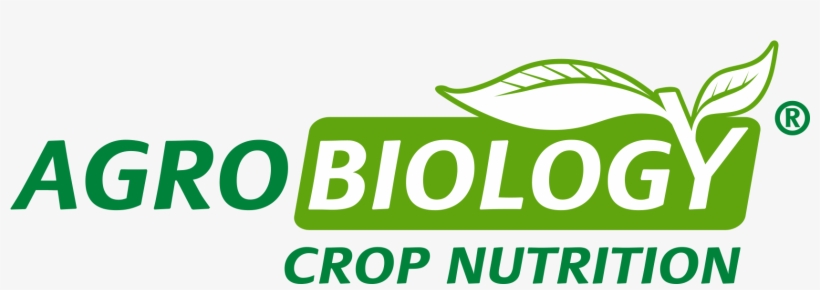 ¡feliz Navidad Y Próspero Año Nuevo - Agrobiology, transparent png