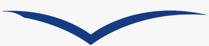 The Name, transparent png