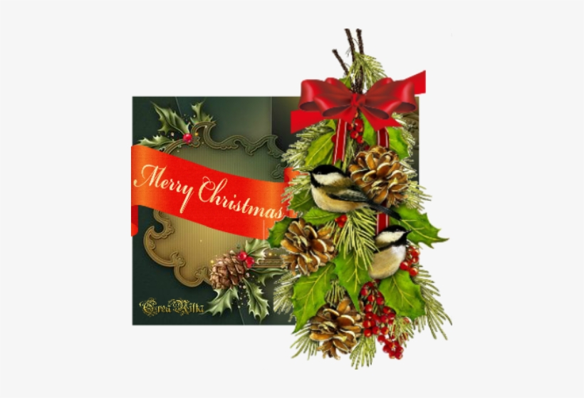 Feliz Navidad Y Venturoso Año Nuevo - Mary Lake Thompson Chickadee Hanging Christmas Holly, transparent png