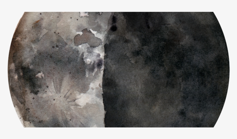 Holistic Nutrition Client - Permalink, transparent png