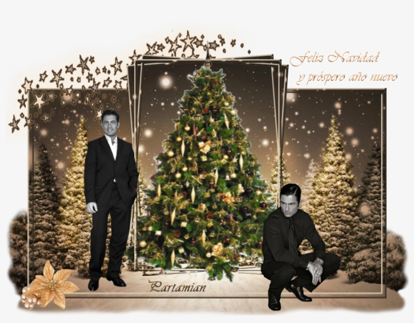 Beth - Firs Christmas Trees Snow Night 32x24 Print Poster, transparent png