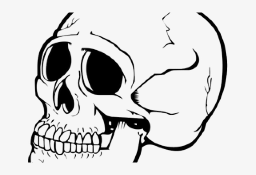 Skeleton Clipart Nose - Sitzplatz New Rock 40082 4 Toilet Seat, transparent png