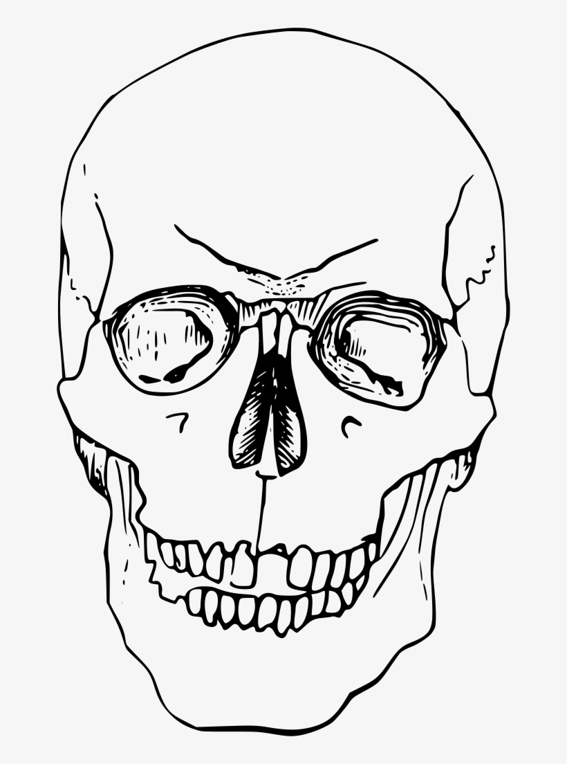 Download Png - Skelett Kopf Zeichnung, transparent png