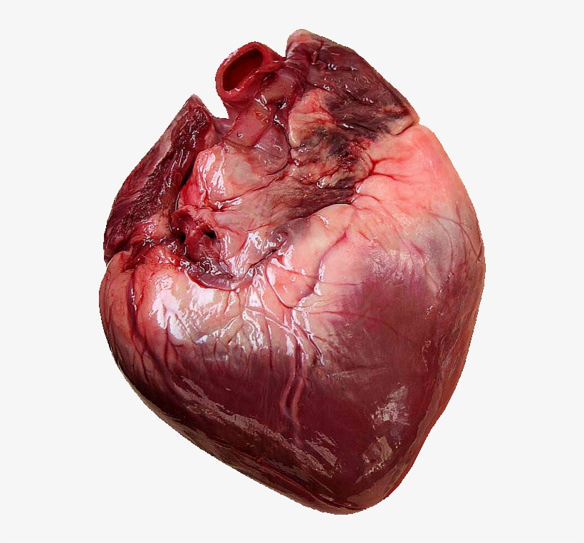 1 Corazon, transparent png