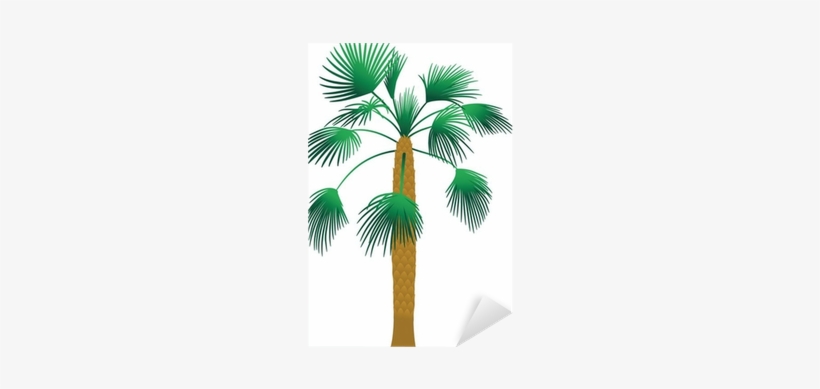 Palm Trees, transparent png