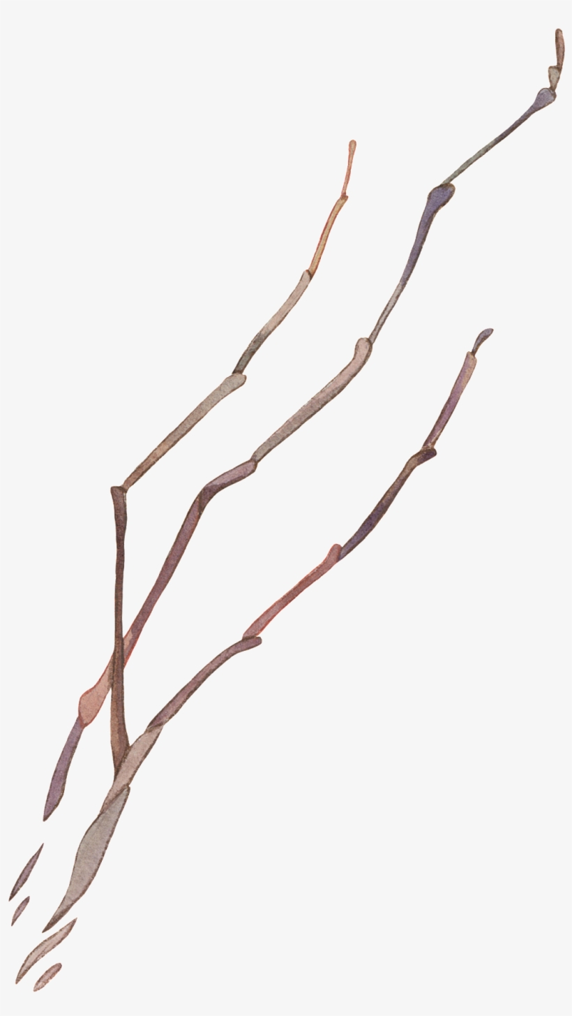 Branch Vector - Vector Graphics, transparent png