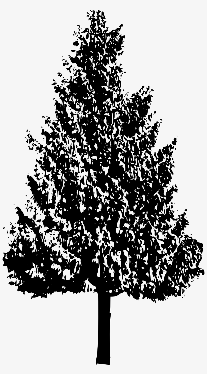 Free Download - Tree, transparent png