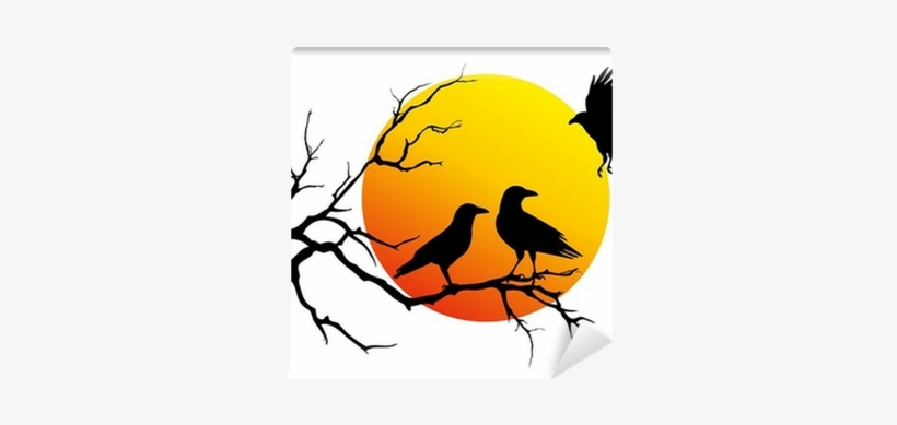 Bird Silhouette On Tree Branch, transparent png