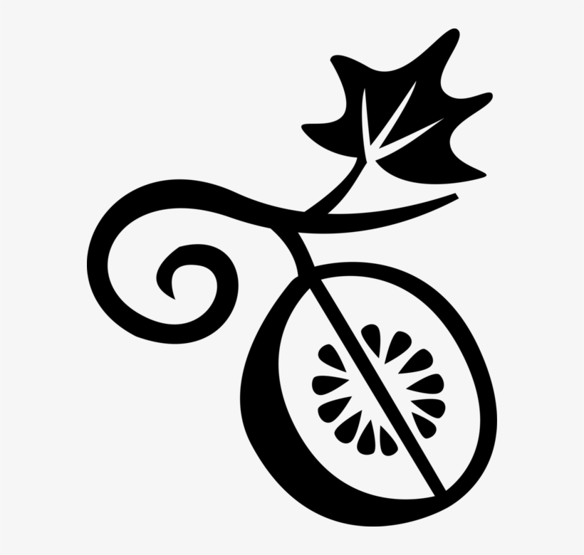 Vector Illustration Of Botanical Horticulture Fruit - Starch, transparent png