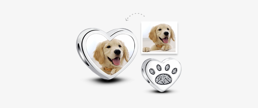 Golden Retriever Puppy, transparent png