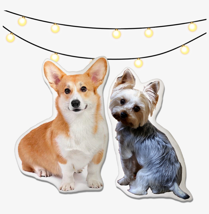 Paw Joy, transparent png