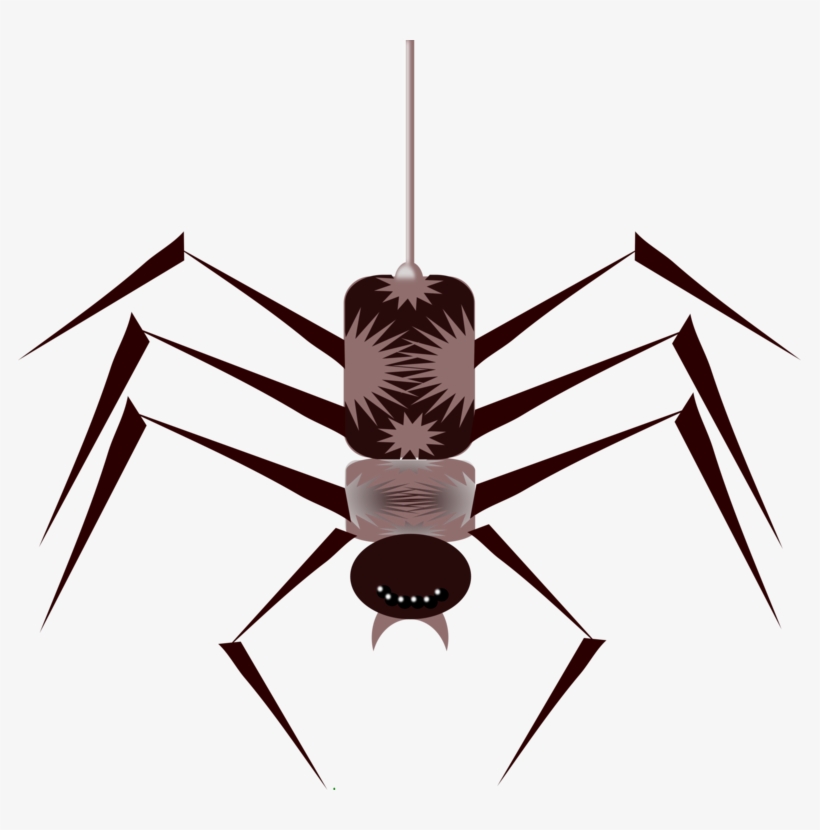 Insects And Spiders Insects And Spiders True Bugs Spiders, transparent png