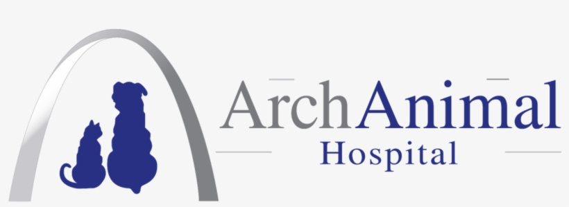 Arch Animal Hospital - Need A Man [book], transparent png