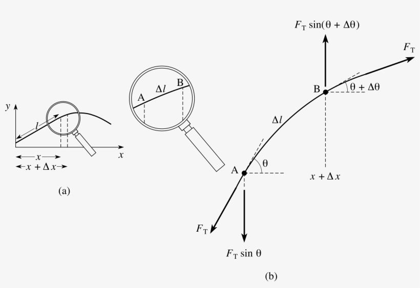 8 Deriving The Wave Equation - Derivation Of Wave Equation On A String, transparent png