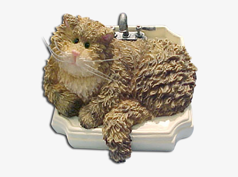 Cat, transparent png