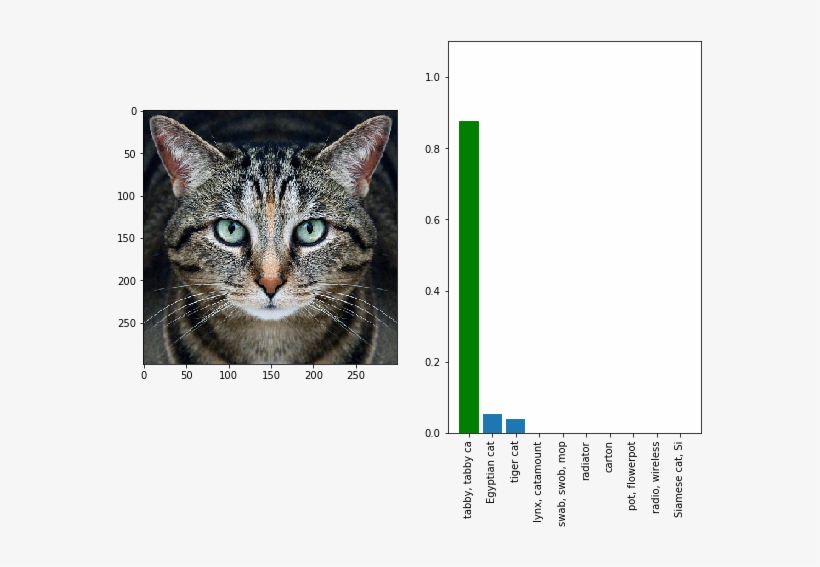 Adversarial Examples - Google Ai Cat Guacamole, transparent png
