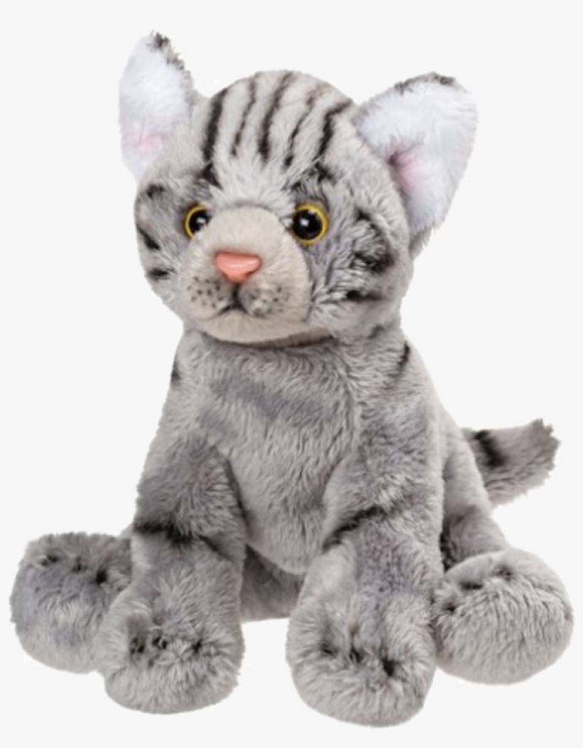 Cat, transparent png