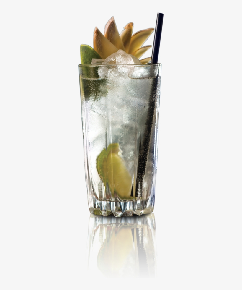 Simple Serves Build Stirred Shaken Muddled Shots - Vodka And Tonic, transparent png