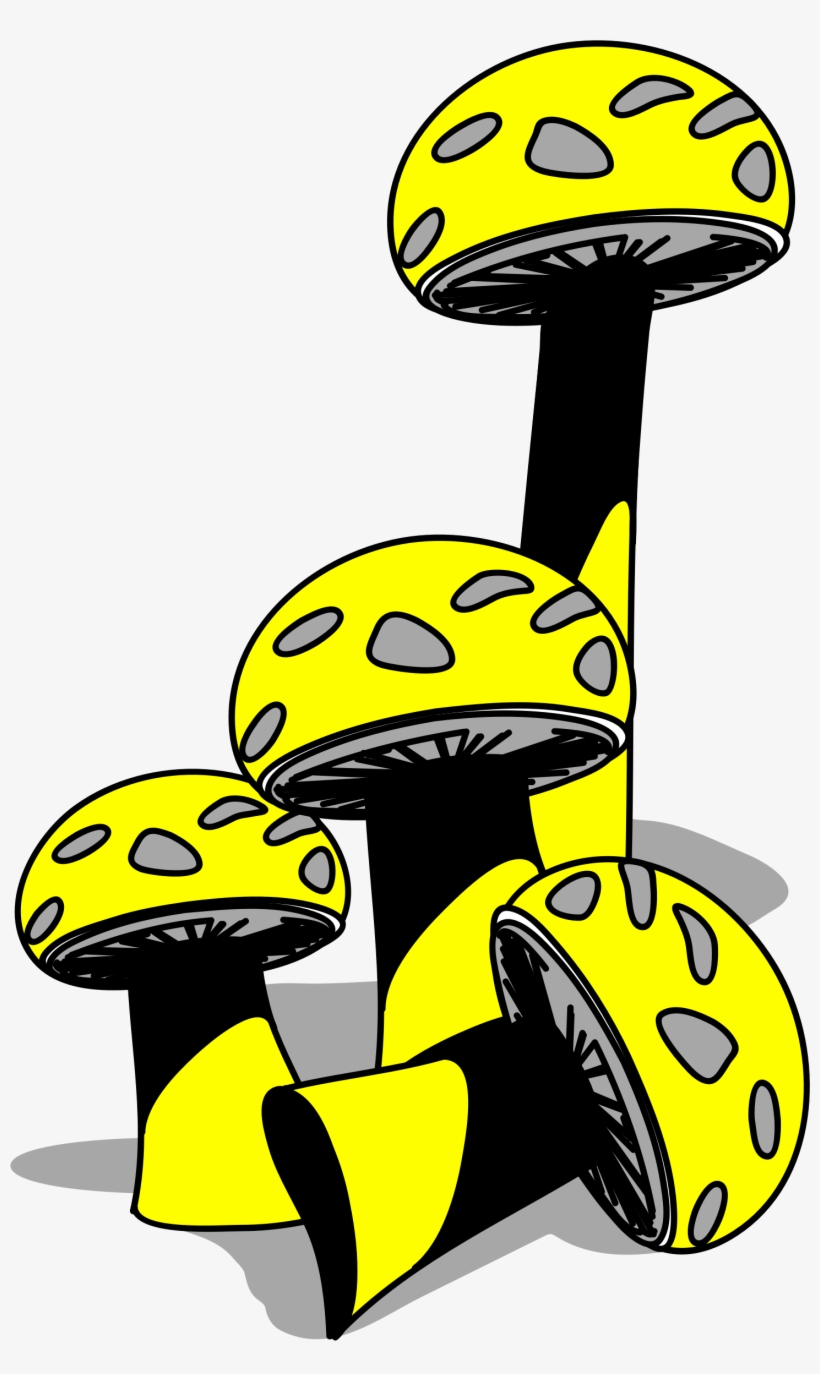 Shrooms Png, transparent png