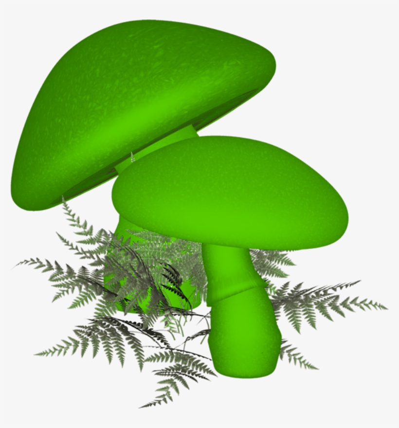 Shrooms ‿✿⁀°••○ - Fairy, transparent png