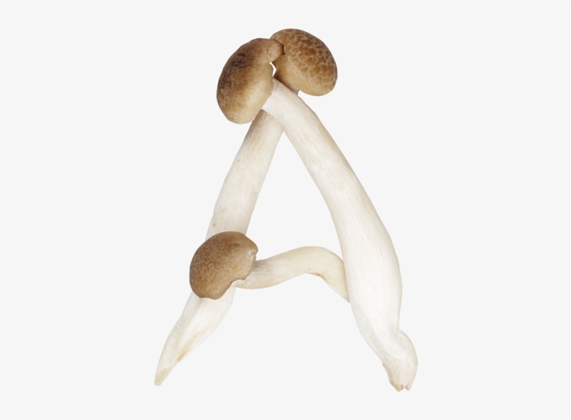 Shimeji Mushroom Font " - Mushroom Letters, transparent png