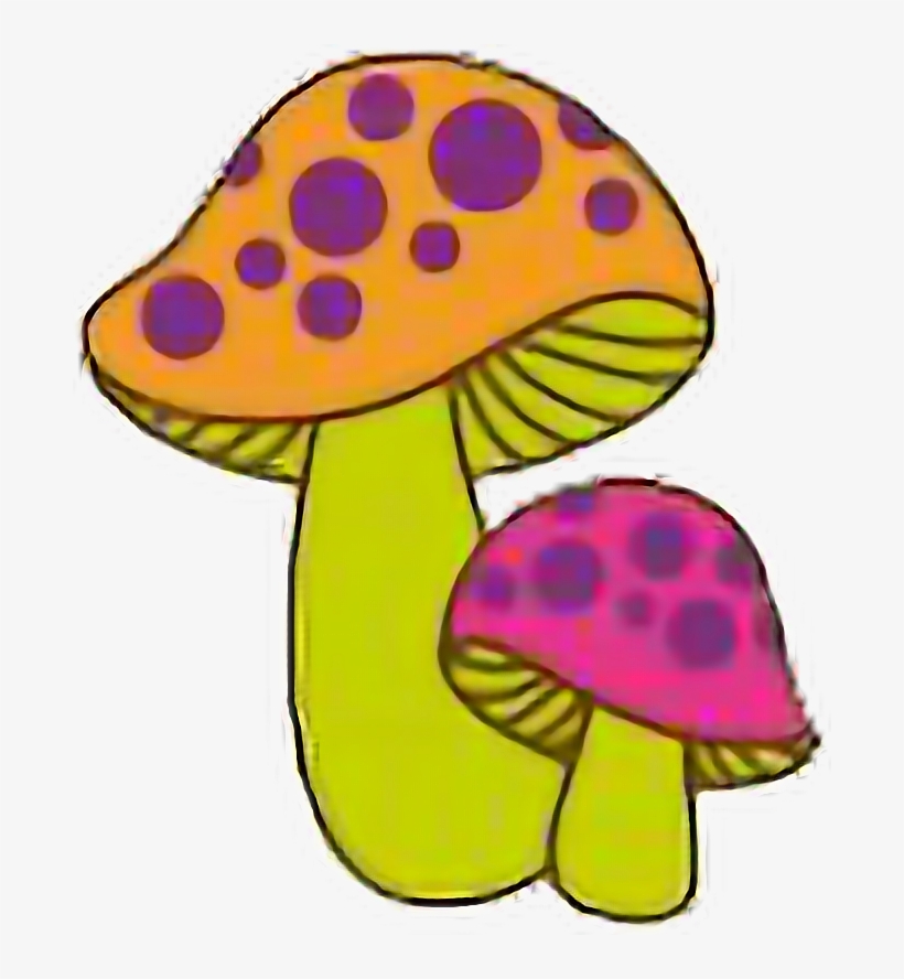 Mushrooms Psychedelic Trippy Shrooms Natnat7w Freetoedi, transparent png