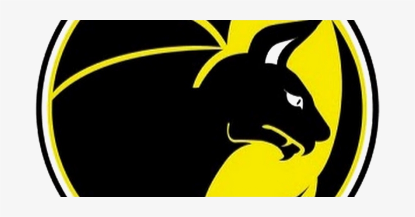 Junior Cancelado - Valencia Firebats, transparent png